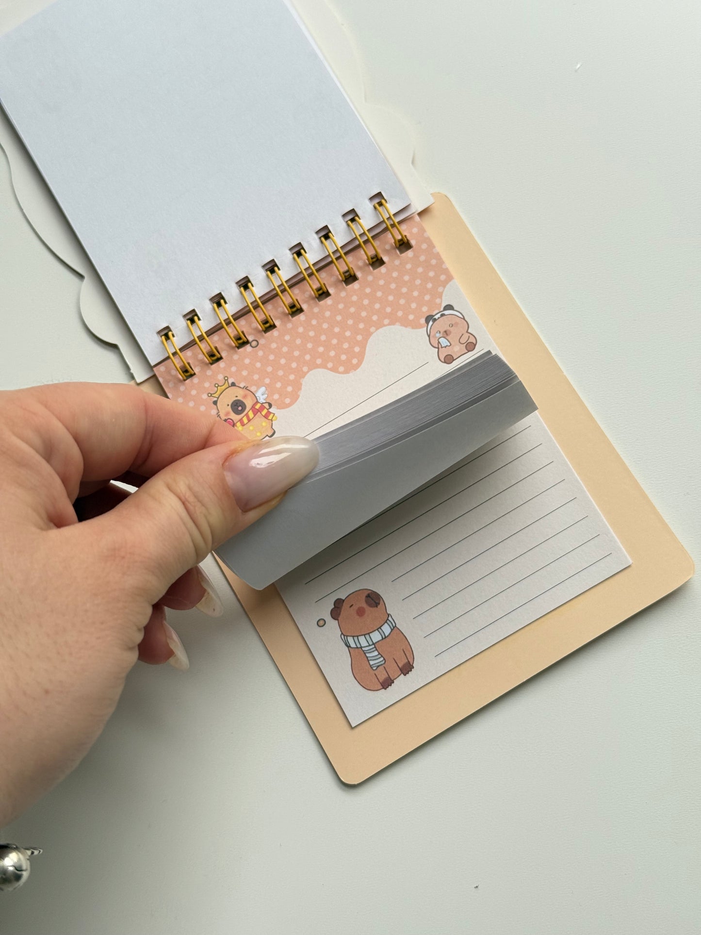 🦫 Domek z naklejkami – Kapibara+notes