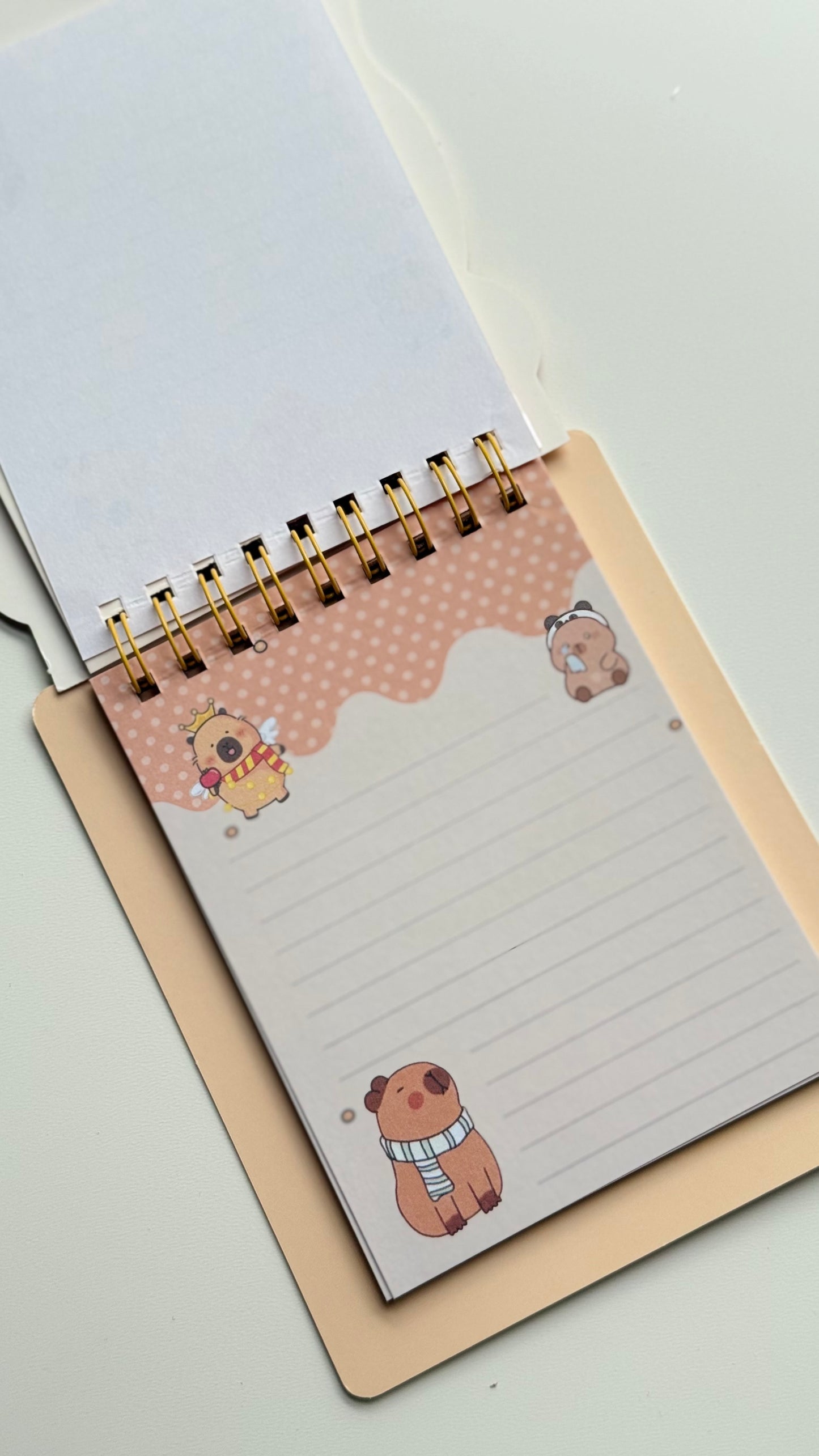 🦫 Domek z naklejkami – Kapibara+notes