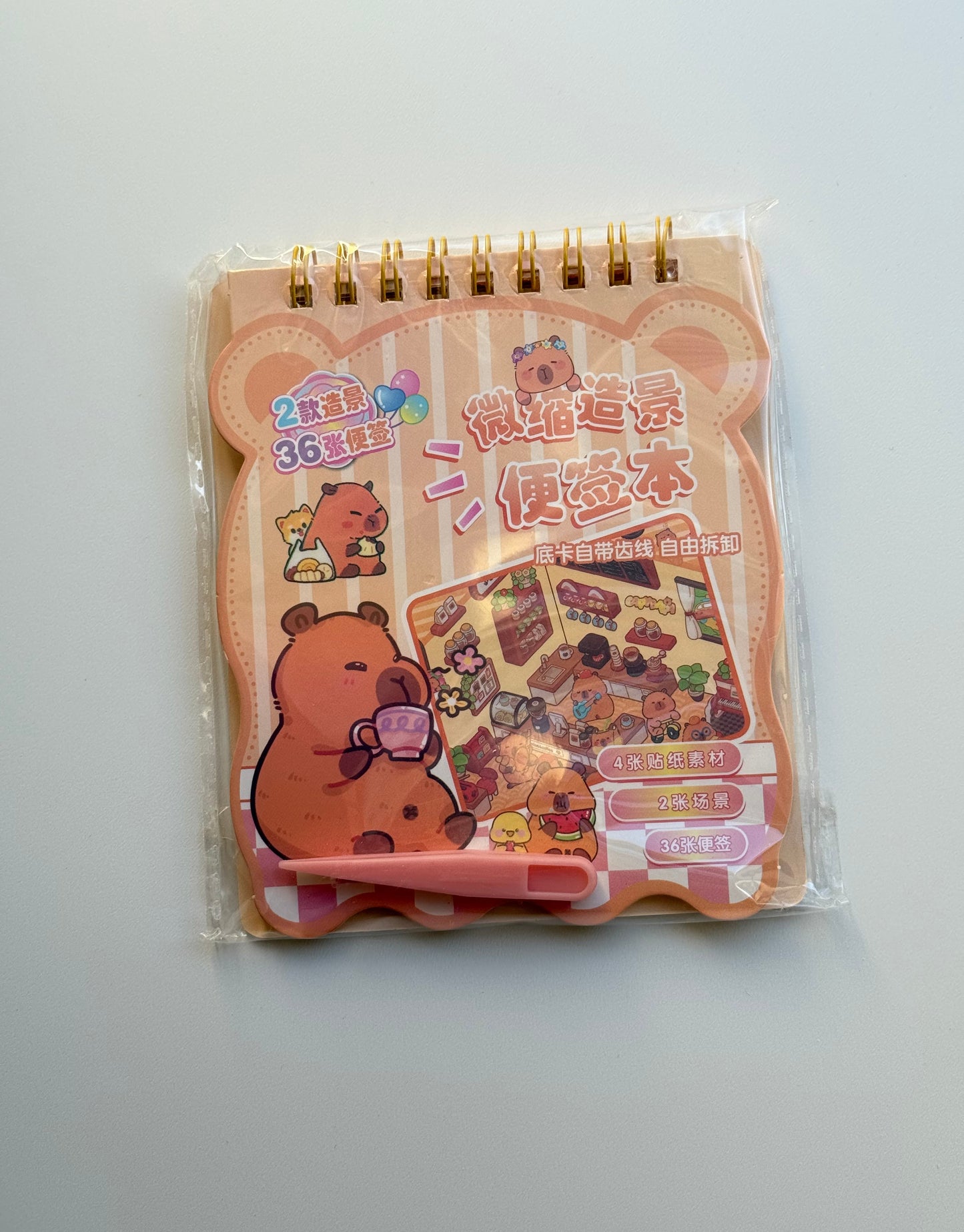 🦫 Domek z naklejkami – Kapibara+notes