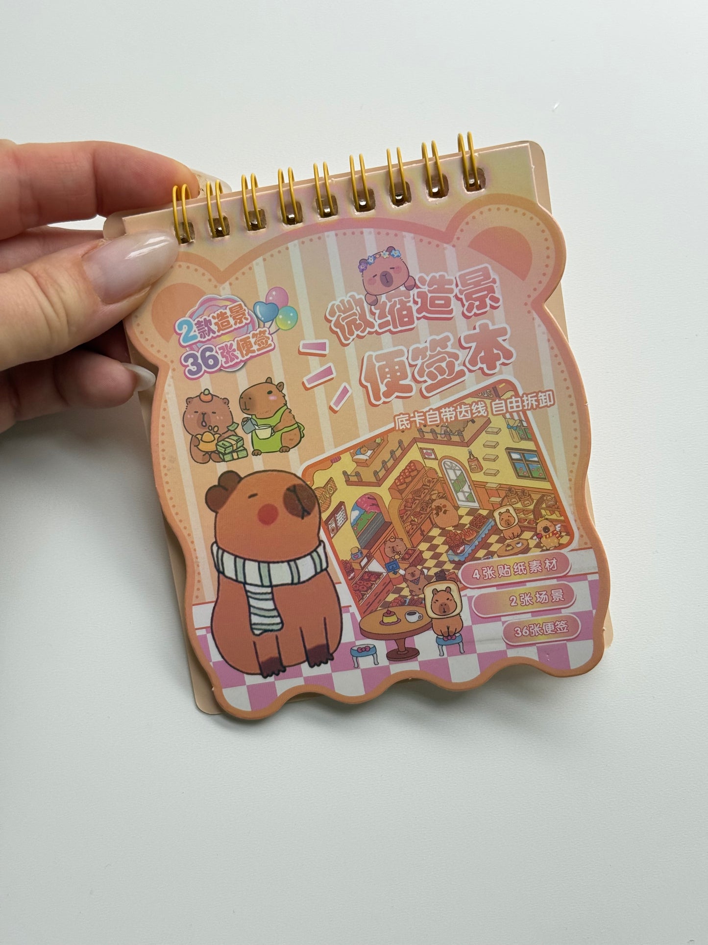 🦫 Domek z naklejkami – Kapibara+notes