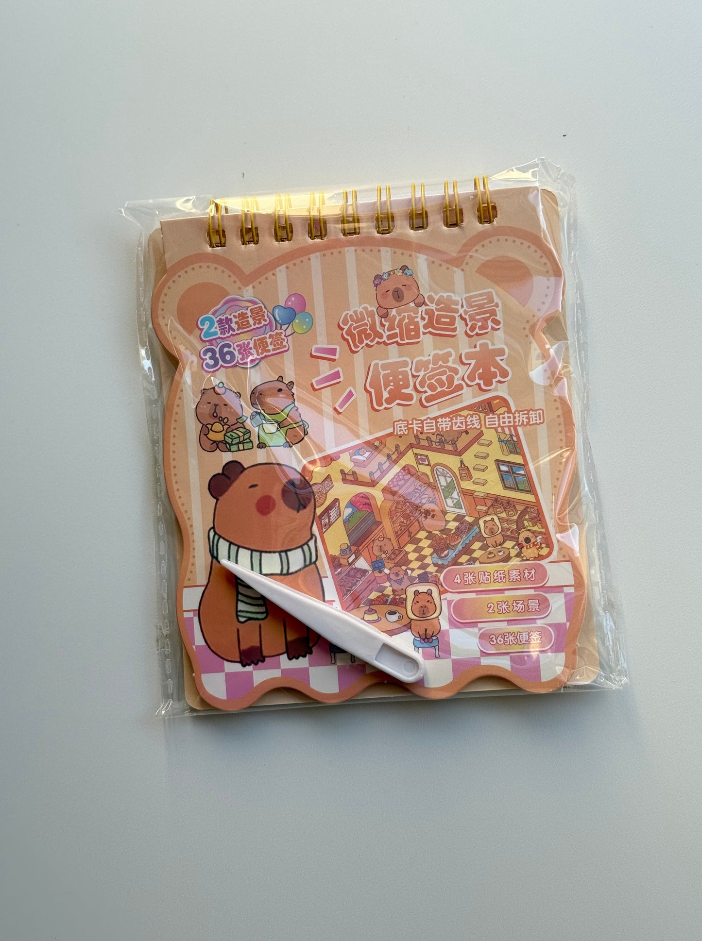 🦫 Domek z naklejkami – Kapibara+notes